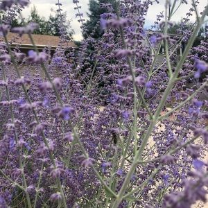 Moving!! My closet will be open and running soon